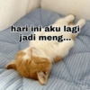 hari ini aku lagi jadi meng...