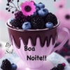 Boa noite 97 19