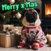 Pug Dogs 29