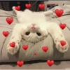 Amorcito 27