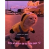 Gatitos para pareja 12