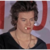 Harry styles memes 7