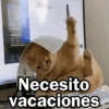 🩷😍Gatitos Con Frases🥴🐈‍⬛ 11