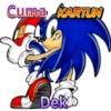 SONIC SI PEMARAH 8