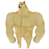Funny Dogs 6