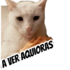 @ballolet88 A VER AQUIORAS