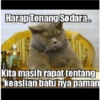 Stiker kucing imut  25