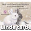 Bonita tarde 13
