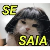 SE SAIA