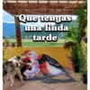 Bonita tarde 17