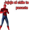 Spiderman 13