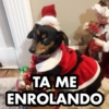 TA ME ENROLANDO