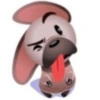 Perro de facebook 18