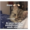 Love yani aşk 19