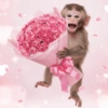 🐒🌹Monitos Ramo Buchón 🌹❤️ 11