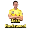 Chennai Super Kings (IPL) 7