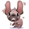 Perro de facebook 17