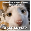 Love yani aşk 12