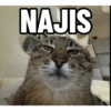 Top Kucing Plenger Meme 6