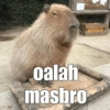 Reaksi 2 16