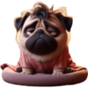 Pug Dogs 12