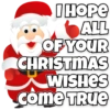 Christmas Special 9