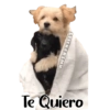 Animales Friolentos 🥶❄ 6