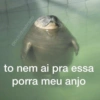 Só as irônicas  6