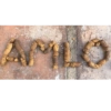 Jajaja 16