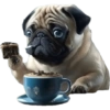 Pug Dogs 19
