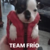 Frío ✨❄️☃️MEMES 9
