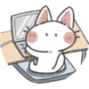❣️ Cats cute ❣️ 15