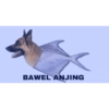 Anomali 14