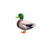 İphone Animal Emojis 28