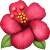 Iphone Emojis 🌺💕 9