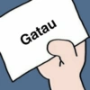 Gatau
