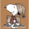 Plan: dormir.
