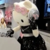 Hello Kitty 29