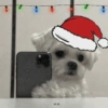 Moods natalinos - pets  8