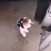 Macaco 5