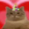 🌈🐈‍⬛✨️Gatos Funny Mood✨️🐈‍⬛🌈 24