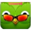 Duolingo 22