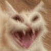 Cats meme 2 10