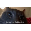 Ball cat 18