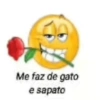 66 Me faz de gato e sapato