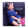 Bb coreana 28