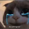 Smile cat ~ 19