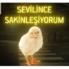 SEVİLİNCE SAKİNLEŞİYORUM