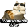 ❄️ Stickers de Todo #15❄️ 7