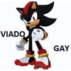 -disse o viado com raiva 6